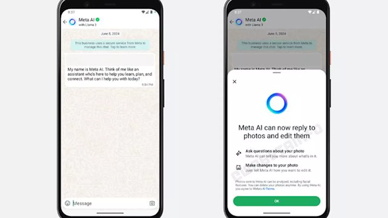 Cara Memisahkan Chat WhatsApp Pribadi dengan Aktivitas Lain