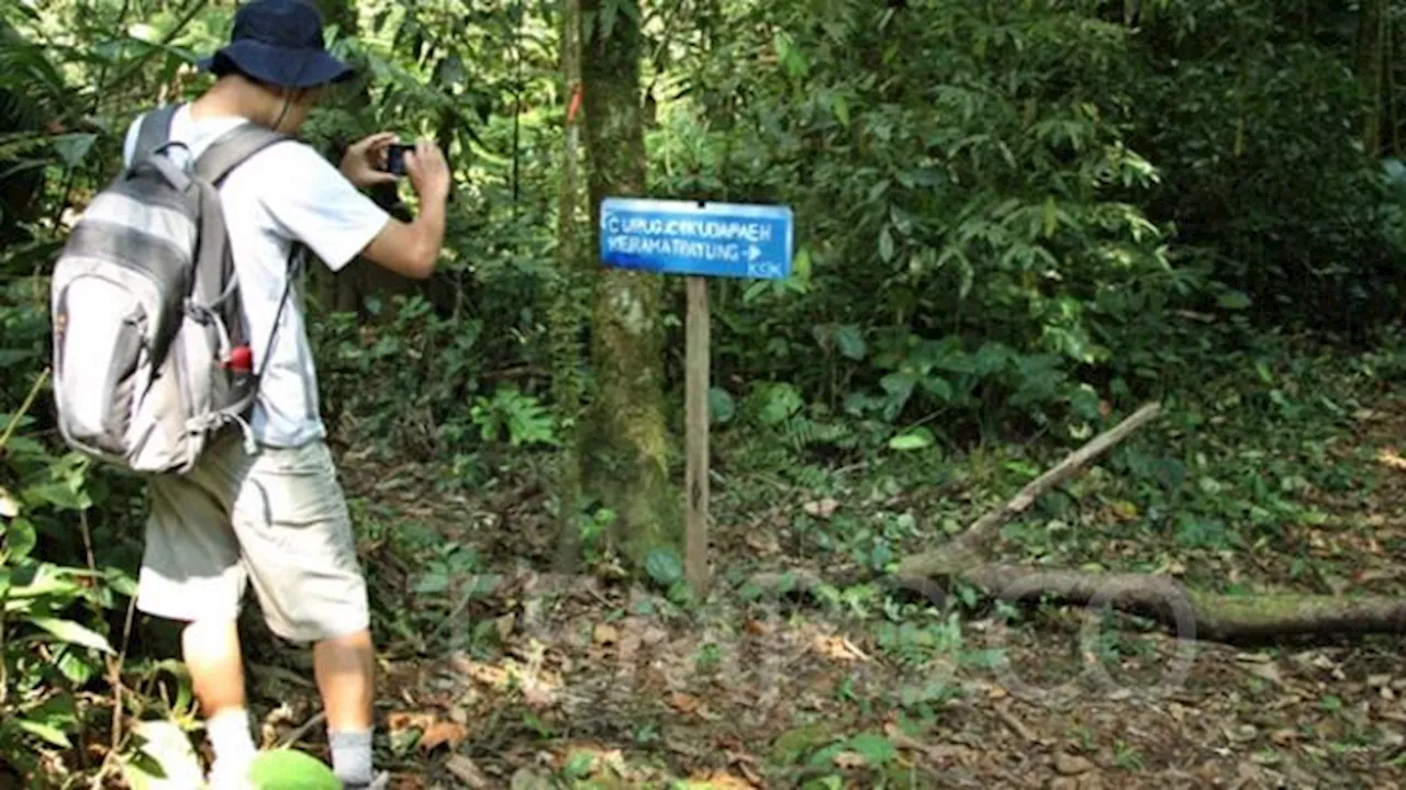 Pertamina Dukung Pemanfaatan Hutan Lestari untuk Swasembada Pangan