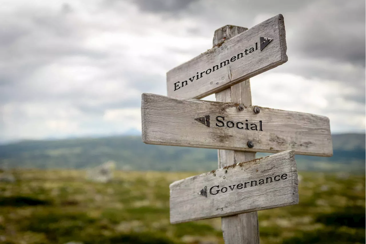 ESG Governance: A Growing Challenge for Nigerian SMEs