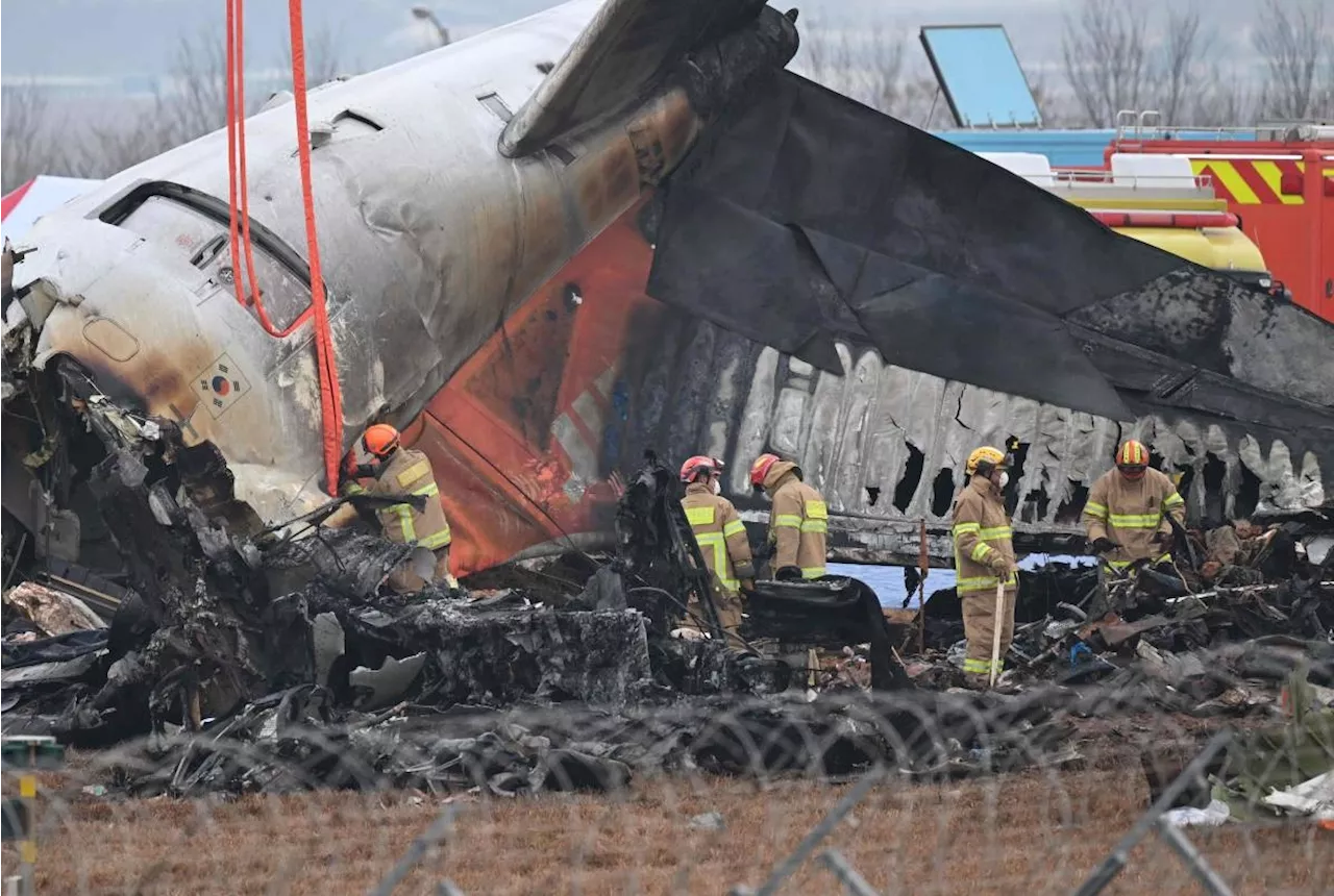 Plane Crash in South Korea Kills 179