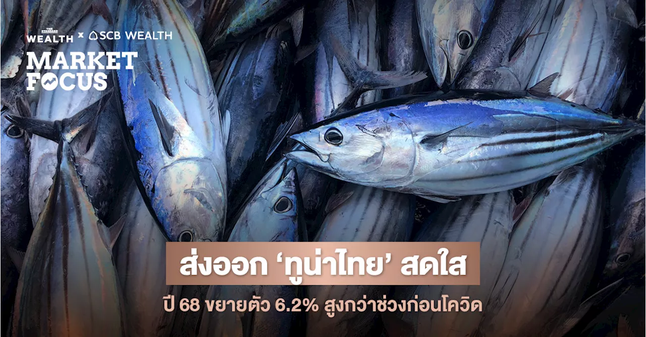 อนาคตอุตสาหกรรมทูน่า: ปรับตัวดีขึ้น มุ่งสู่ความยั่งยืน