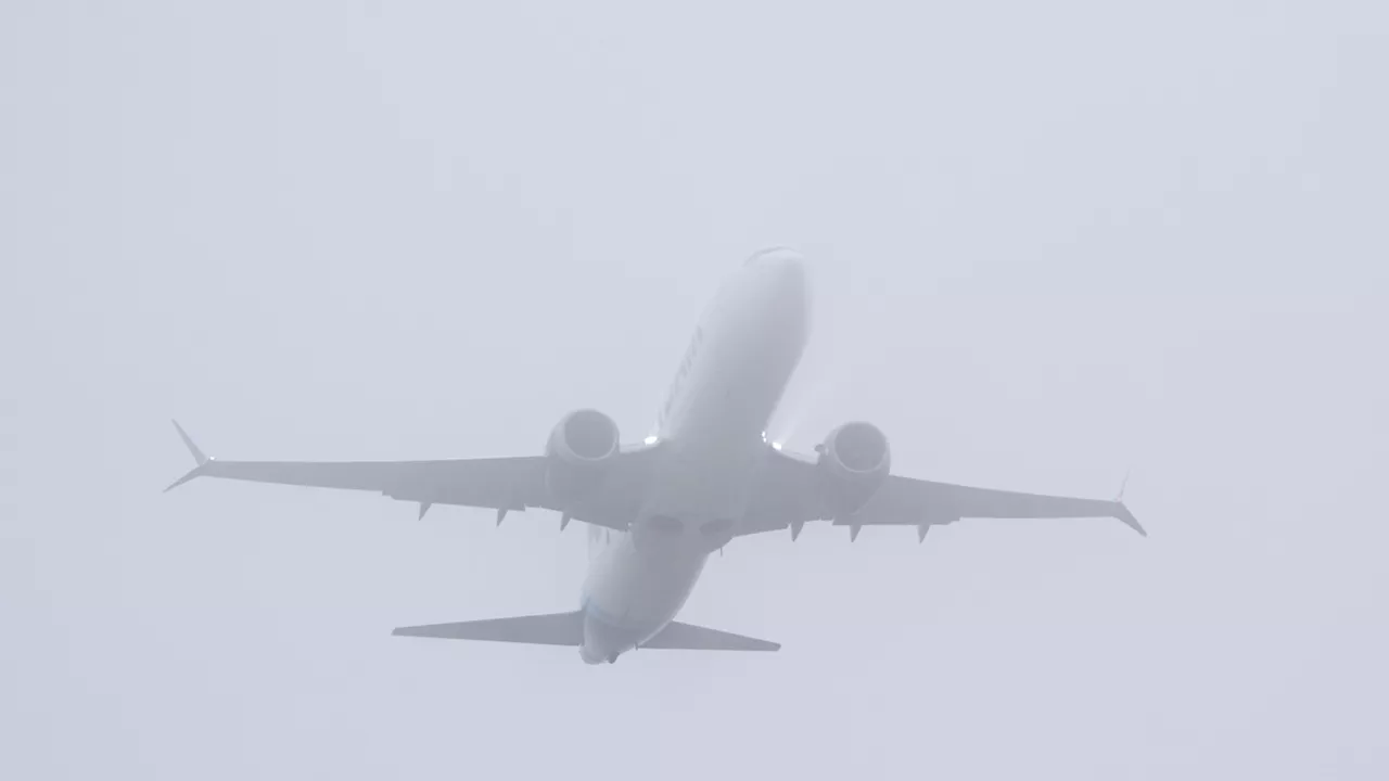 Travel Chaos Continues as Fog and Storms Cause Flight Cancellations