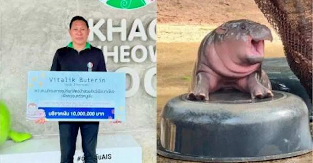 Ethereum Co-founder Donates Millions to Thailand's Viral Pygmy Hippo