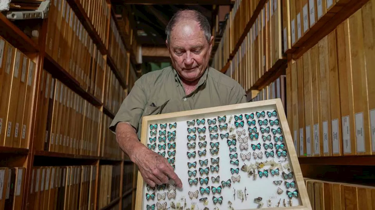 Butterfly Enthusiast's Collection Grows to 4.2 Million