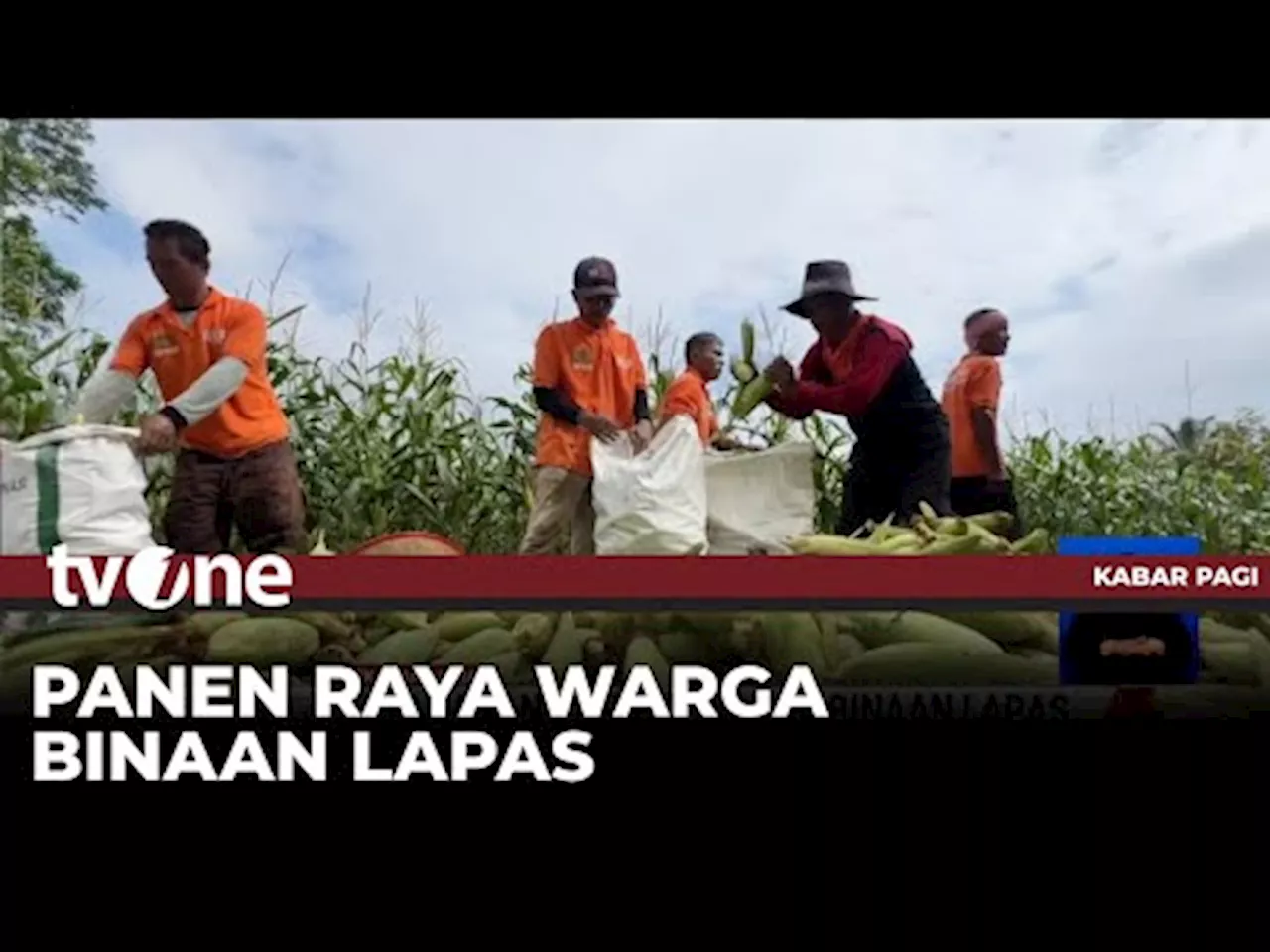 Lapas Kelas IIA Bangkinang Panen Raya Jagung dan Durian Musang King