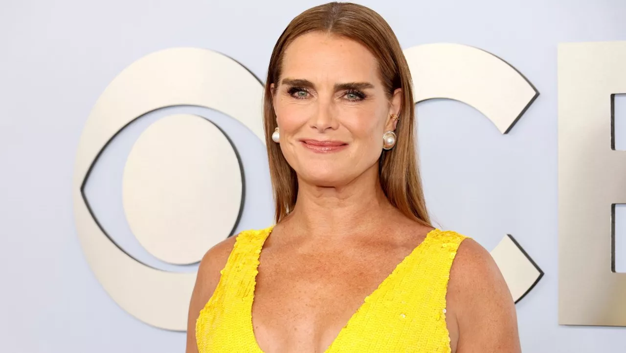 Brooke Shields' Secret for Long-Lasting Lips Revealed