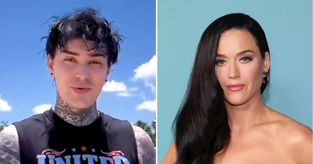 Steven James Criticizes Katy Perry's New Single 'OK'