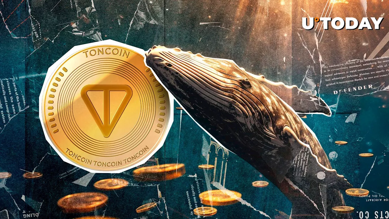 Toncoin Sees Spike in Large Transactions as Whale Activity Increases