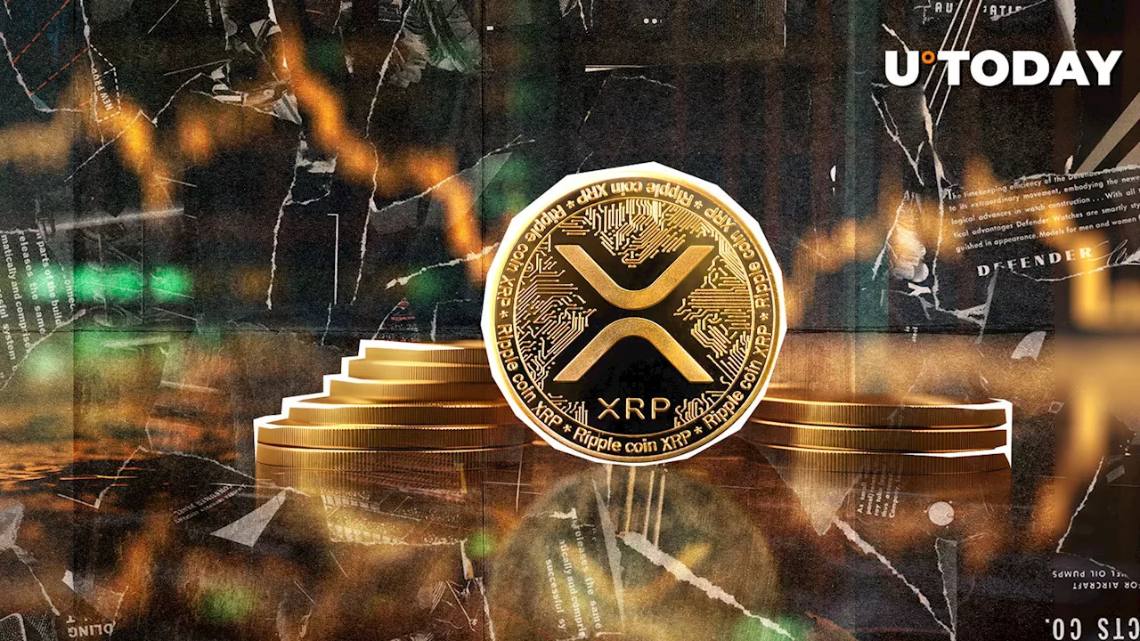 XRP Shows Signs of Rebound After Weeklong Slump