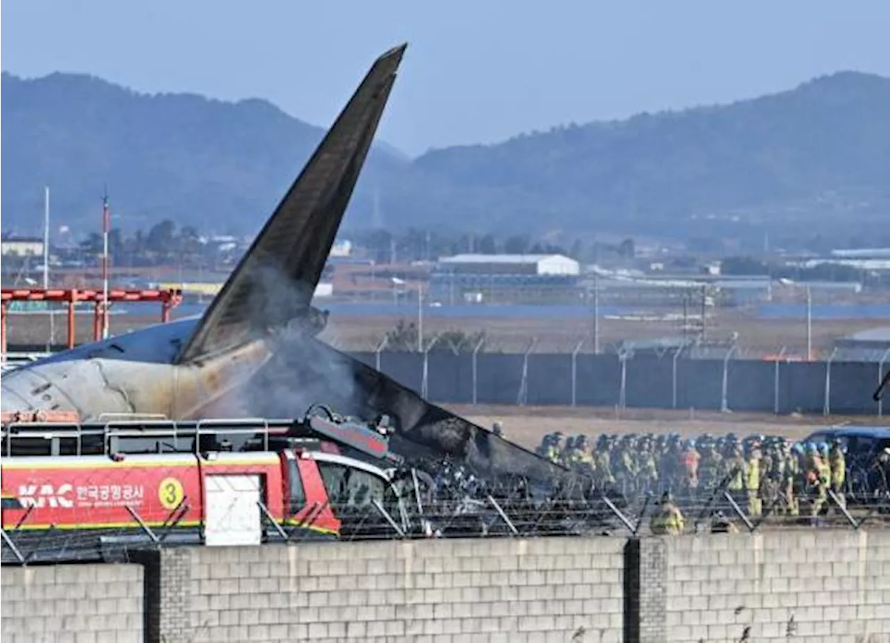 Vuelo de Jeju Air regresa por fallo en tren de aterrizaje tras trágico accidente