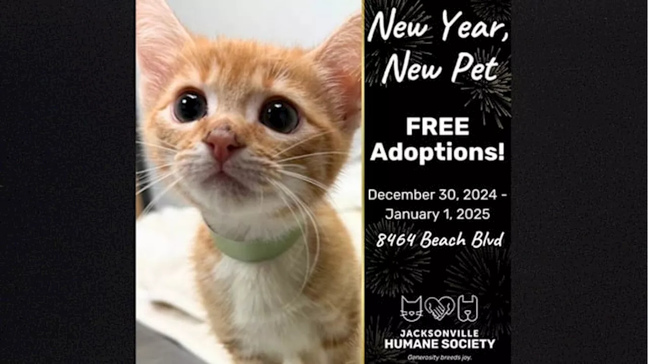 Jacksonville Humane Society Offers Free Pet Adoptions to Start the New Year