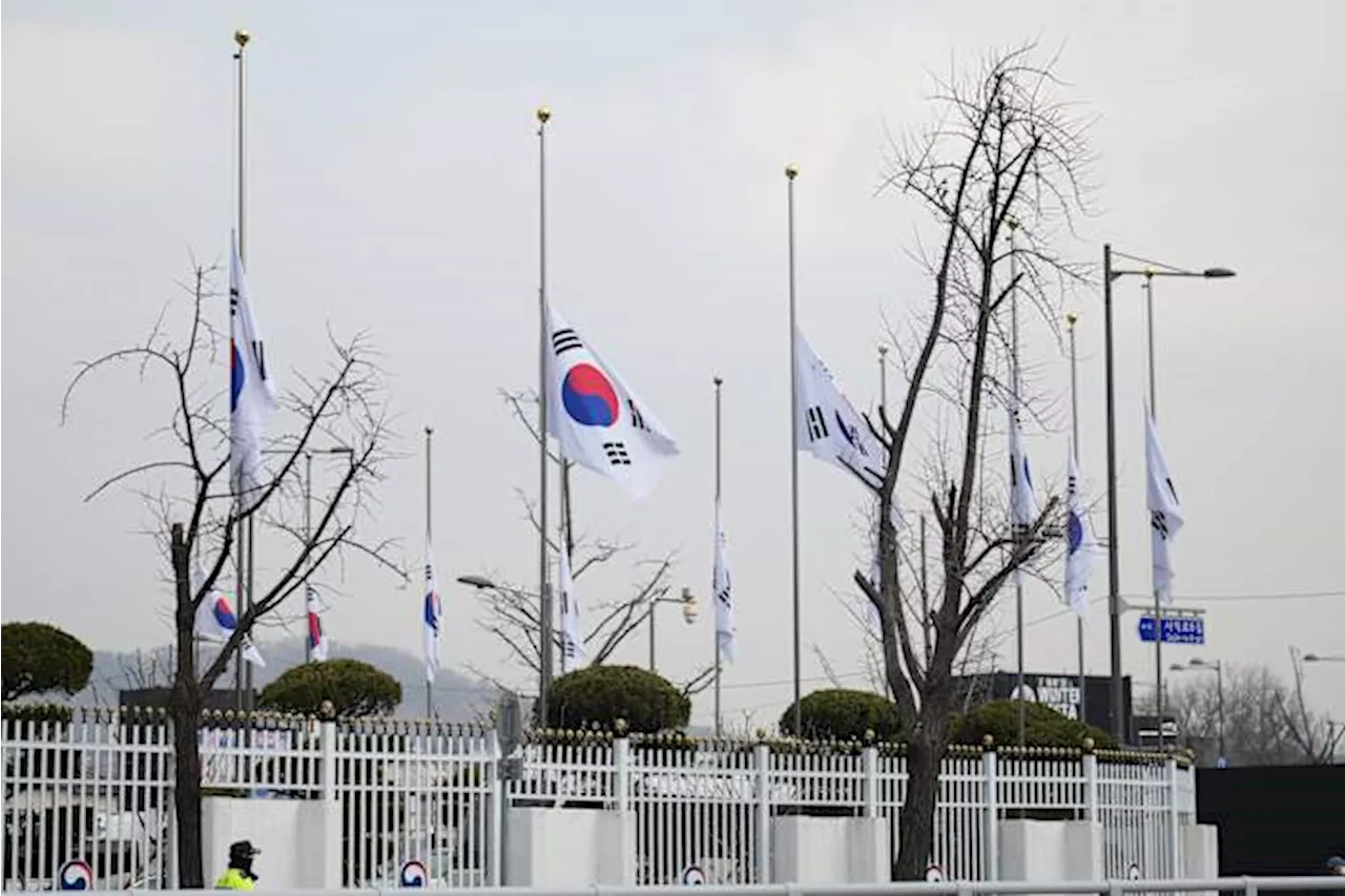 Muan Plane Crash: Grief and Investigation as South Korea Mourns