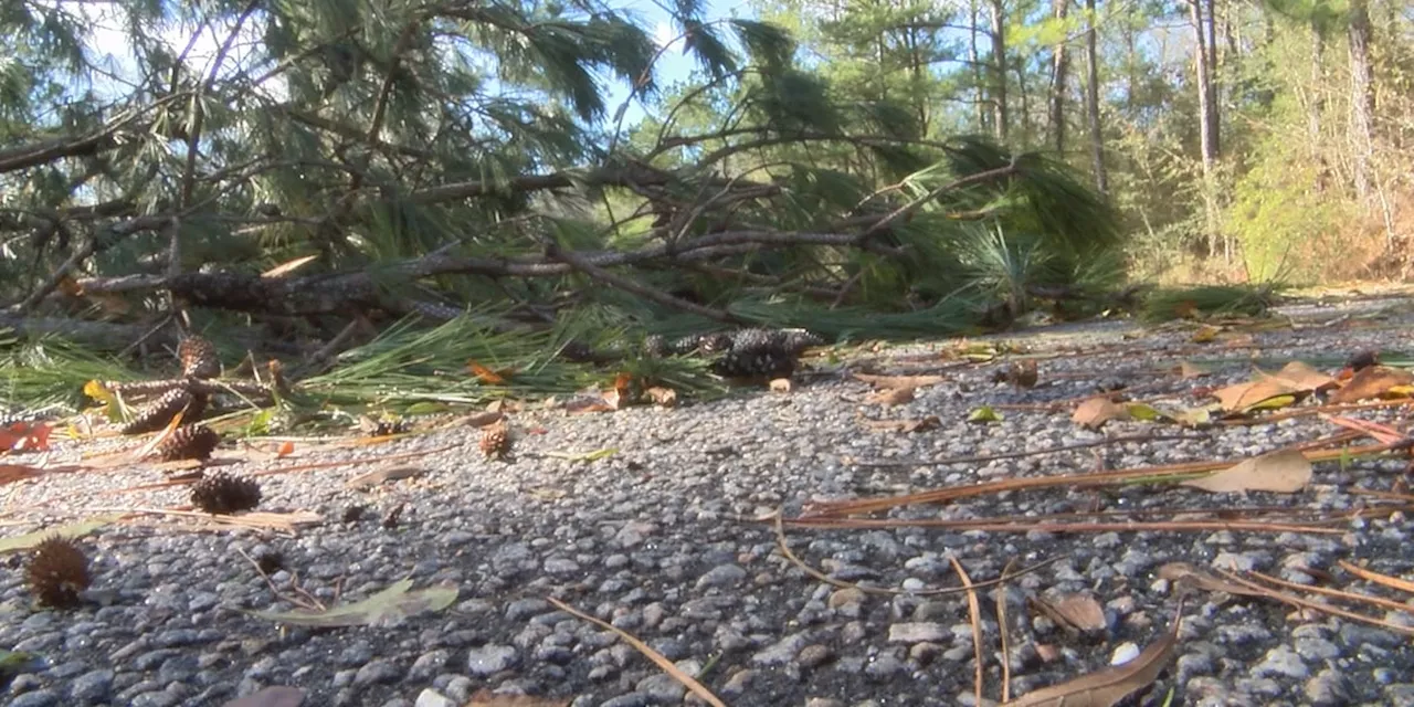 Alabama Tornado Causes Damage, But No Casualties