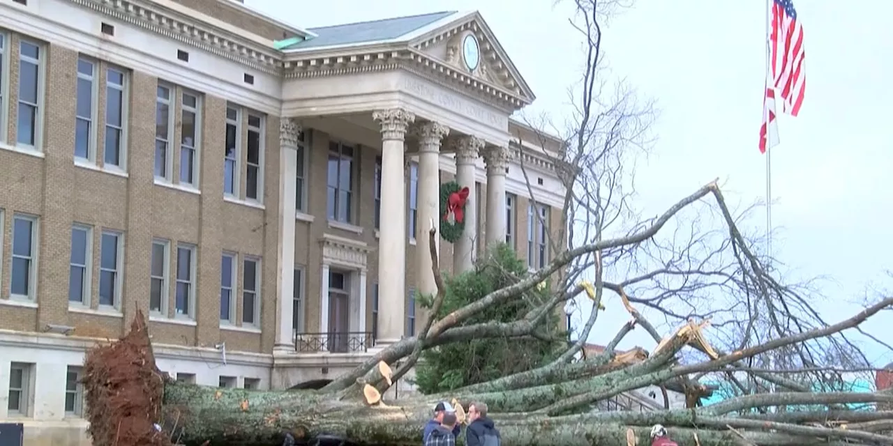 Limestone County Community Rallies to Help After Tornado