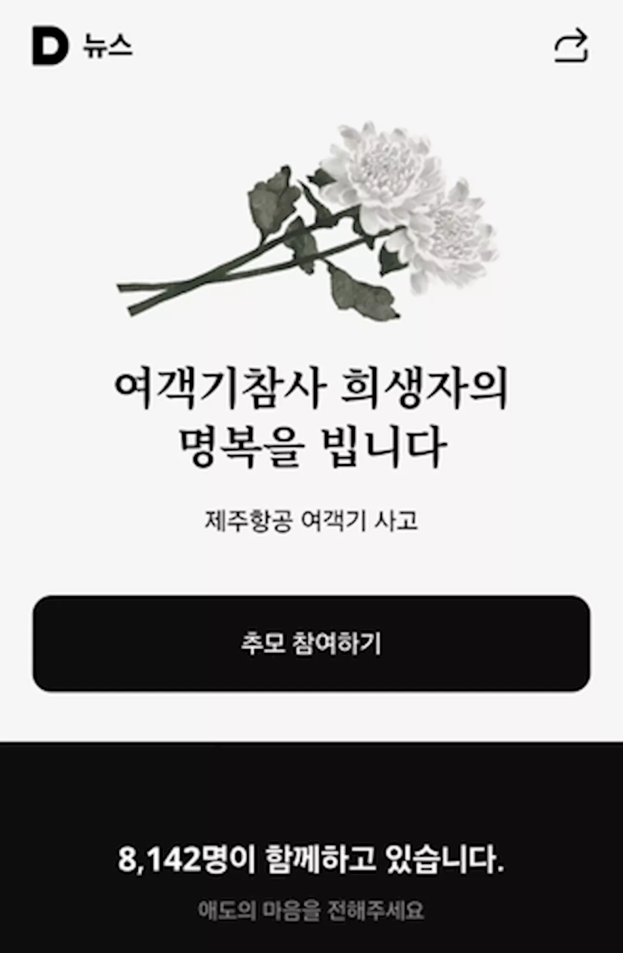 네이버, 제주항공 참사 관련 기사 댓글 중단 기능 환기