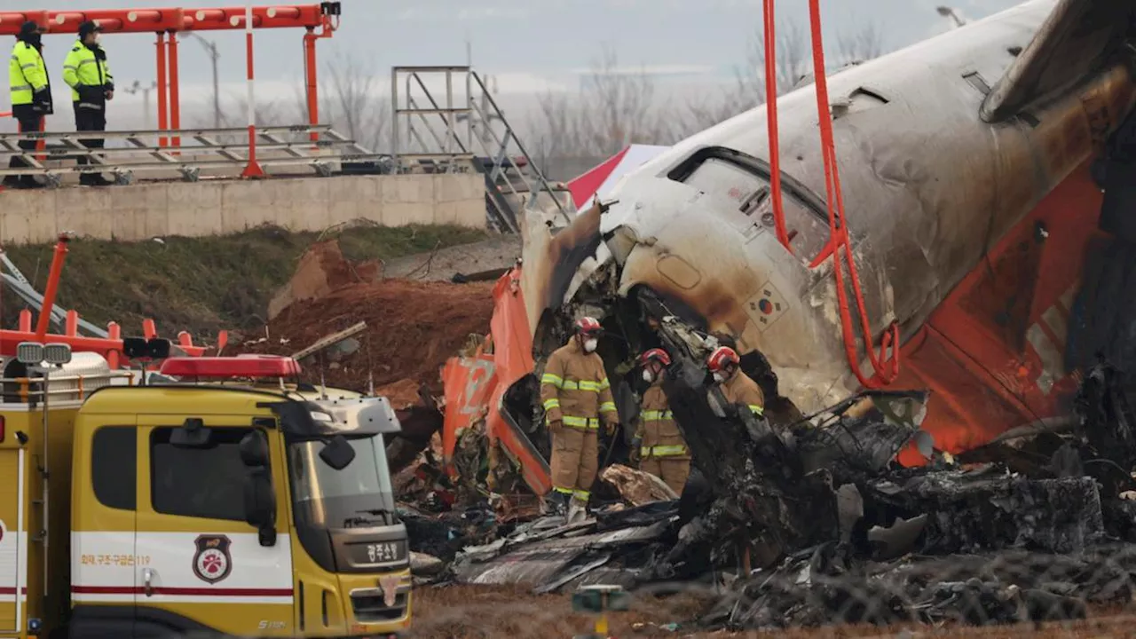 Jeju Air Crash: Airport Design Under Scrutiny Following Deadly Collision