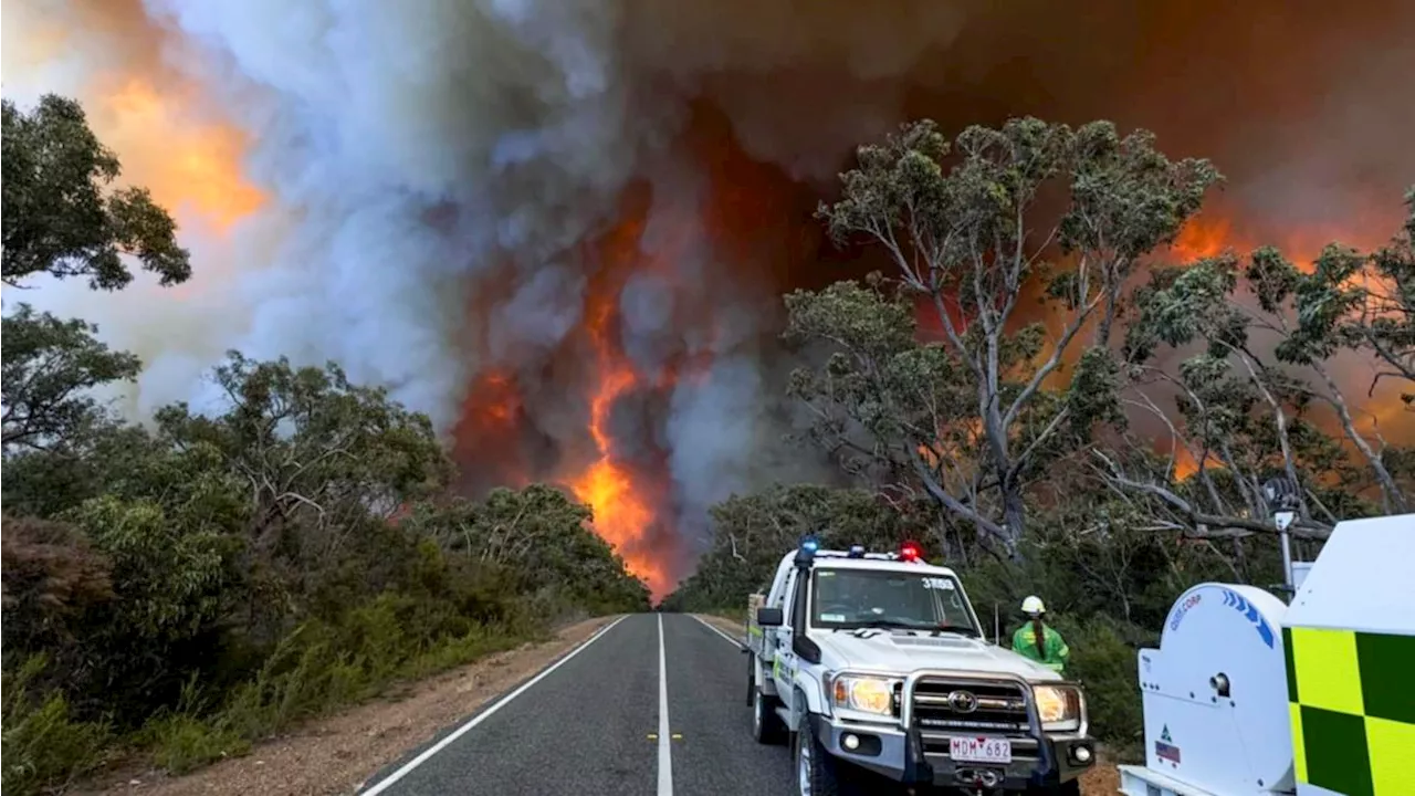 Cannabis Smuggling Operation Busted in Victoria Amidst Fire Zone