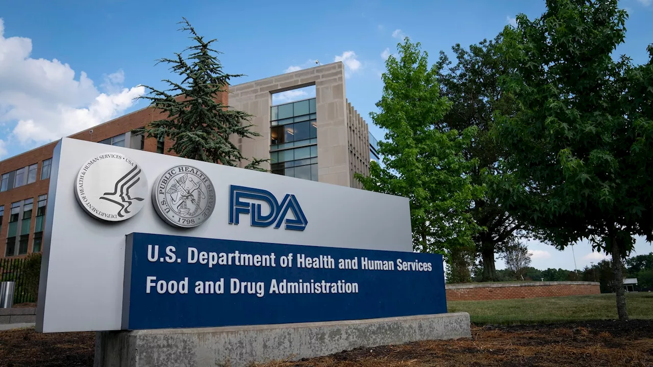 FDA Begins Testing Aged Raw Cow's Milk Cheese for Bird Flu