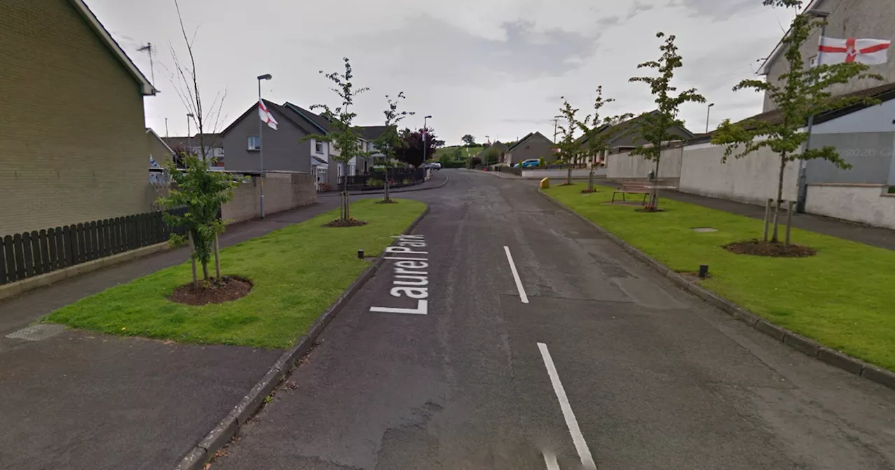 Intruder Points Gun at Man and Child in Northern Ireland Burglary