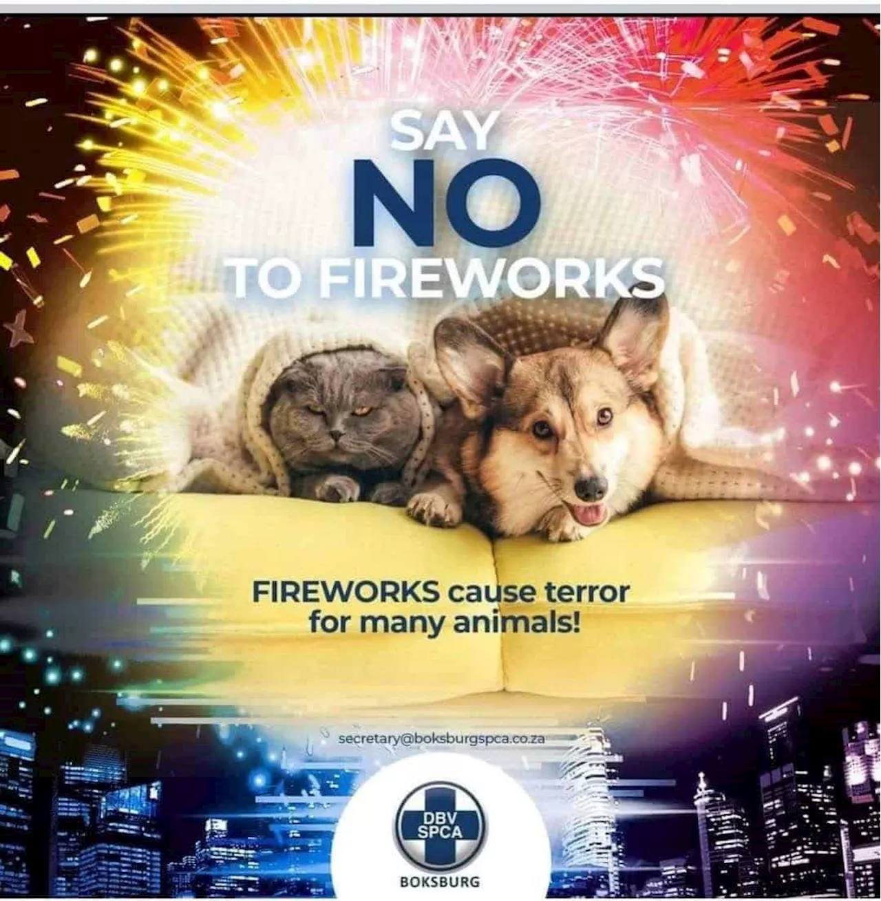 Boksburg SPCA Issues Safety Tips for Pets During Fireworks