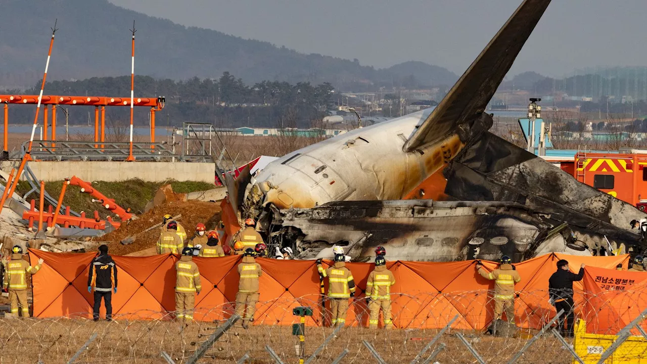 Nach Flugunglück in Südkorea: Betonwand auf Landebahn im Fokus