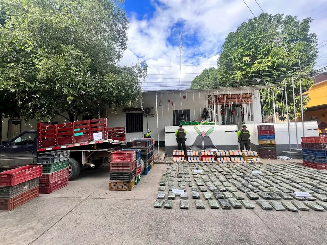 Policia incauta 300 kilogramos de marihuana en Tolima