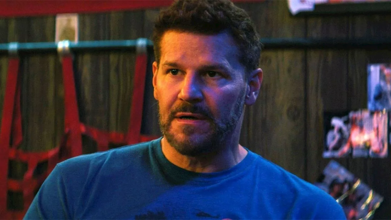 David Boreanaz Dopo SEAL Team: Nuovi Progetti in Horizonte