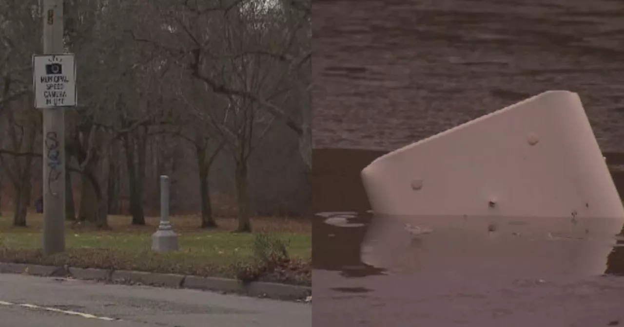 Toronto speed camera cut down a third time, thrown into pond: advocacy group