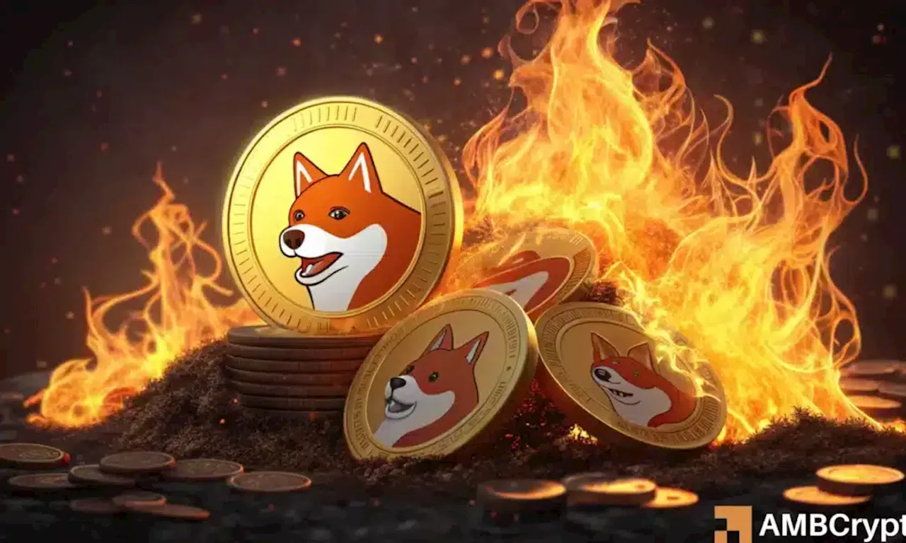 Shiba Inu Burn Rate Dips Amidst Crypto Crash, Speculation Mounts