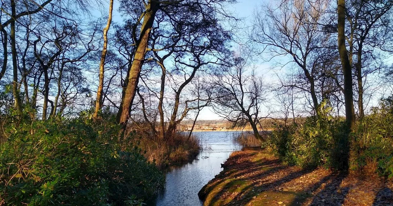 Walk of the Week: Stunning Kilconquhar Loch with Views and a Cosy Pub