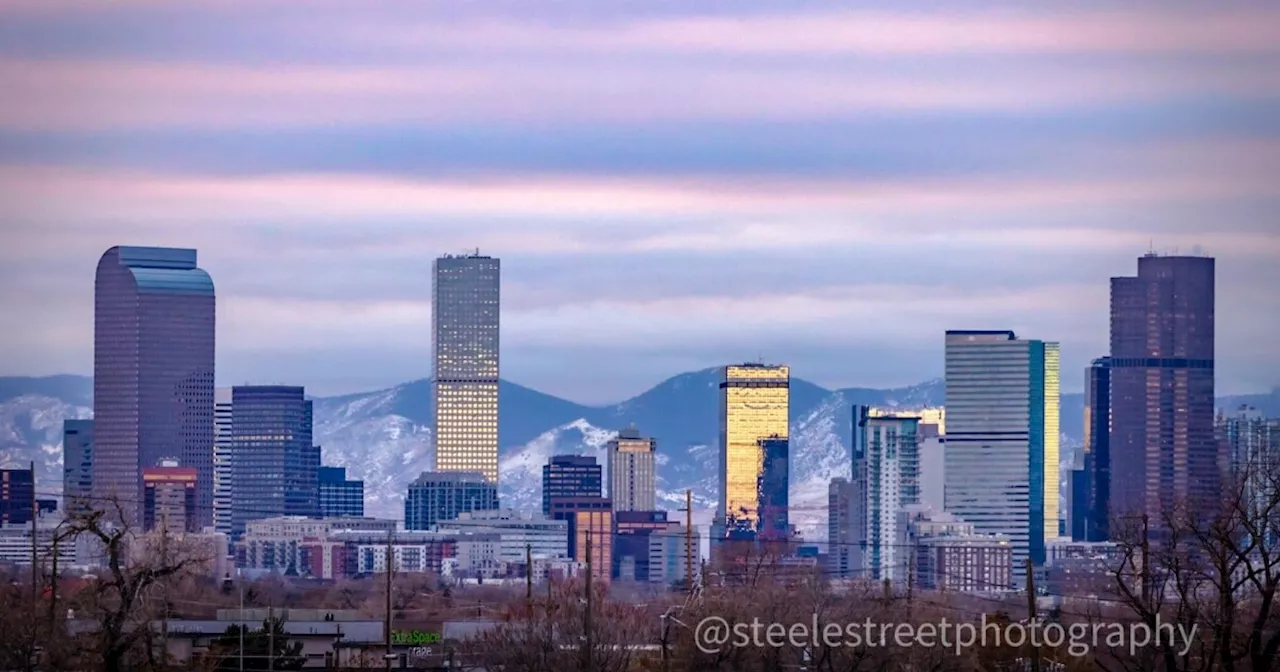 City of Denver plans to strategically expand the tree canopy