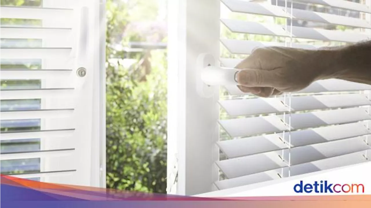 Tips Mengatasi Bau Apak di Rumah Setelah Liburan