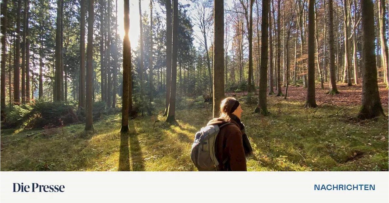 Kurze Intervall-Training Ein bis Vier Minuten pro Tag reichen