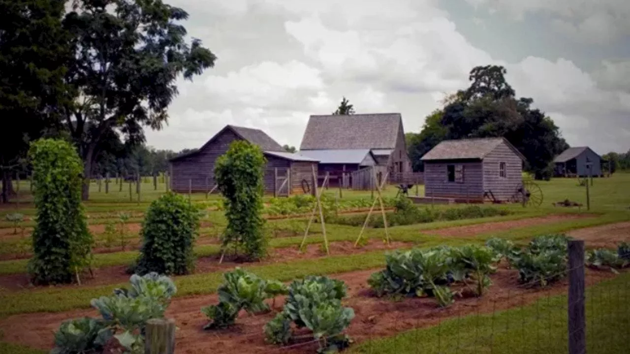 Jimmy Carter to be buried next to Rosalynn at his Plains National Park