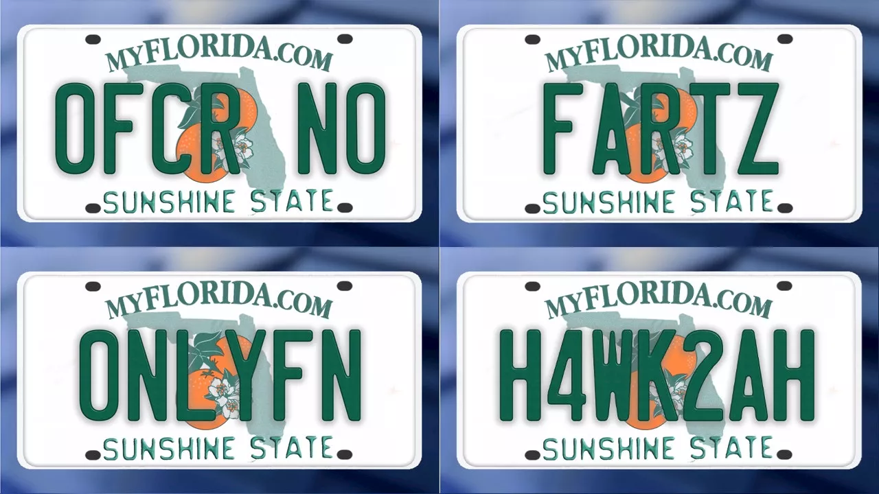 Florida Denies Hundreds of Outrageous License Plate Requests