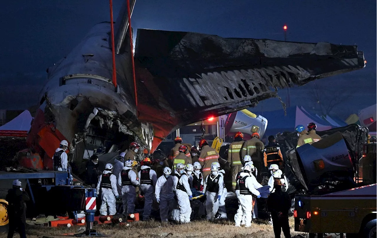 South Korean Jet Crash Kills 179