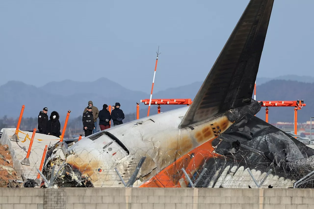 Boeing 737-800 Crash in South Korea: Landing Gear Failure Likely Cause