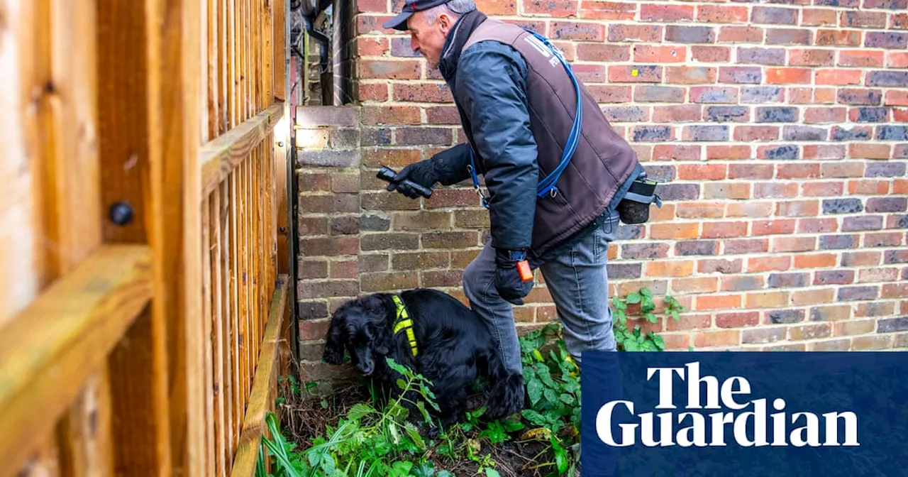 I could work every day of the week': the life of a UK pet detective as thefts rise