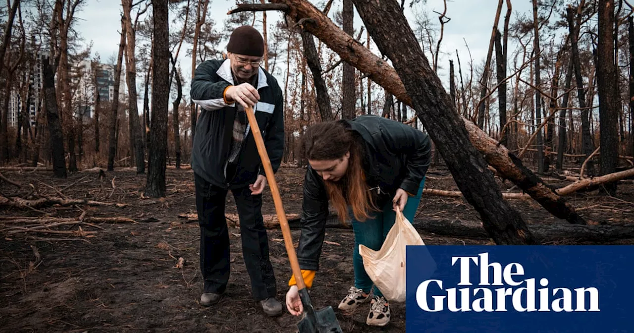 Rebuilding Ukraine's Forests Amidst War