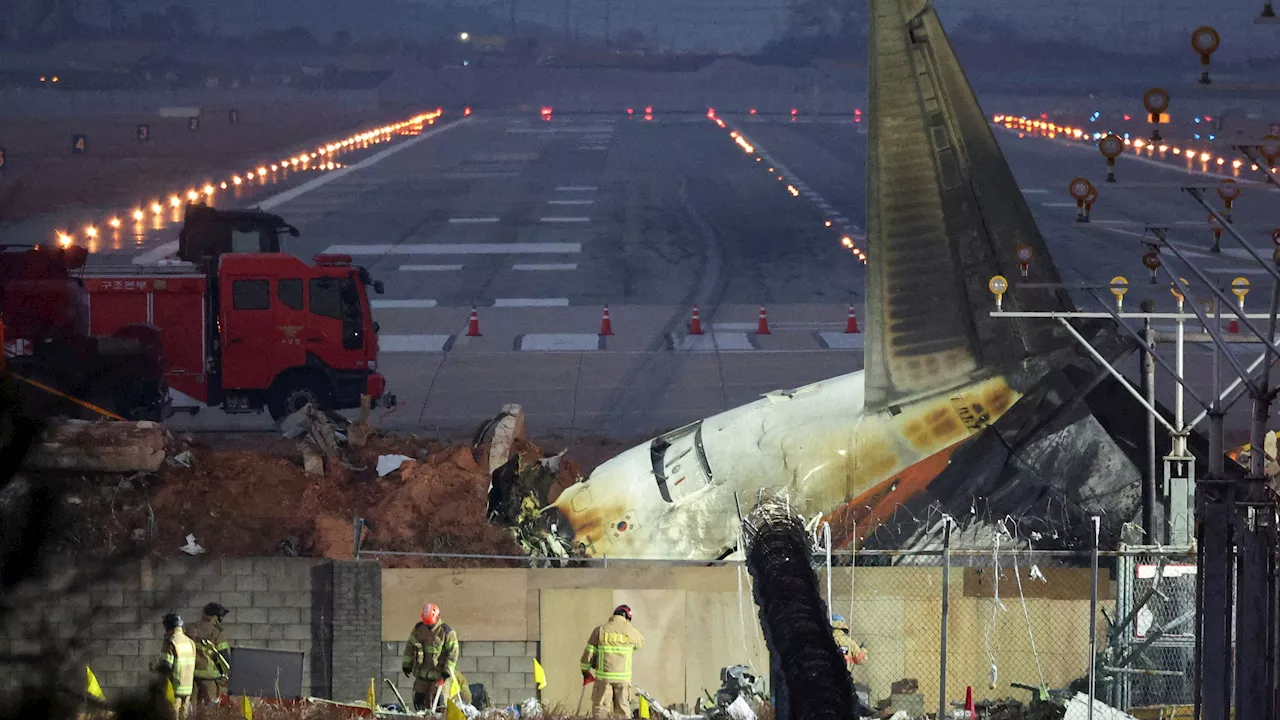 Flugzeugabsturz in Südkorea - 179 Tote: Führte Betonmauer zur Flugzeug-Katastrophe?