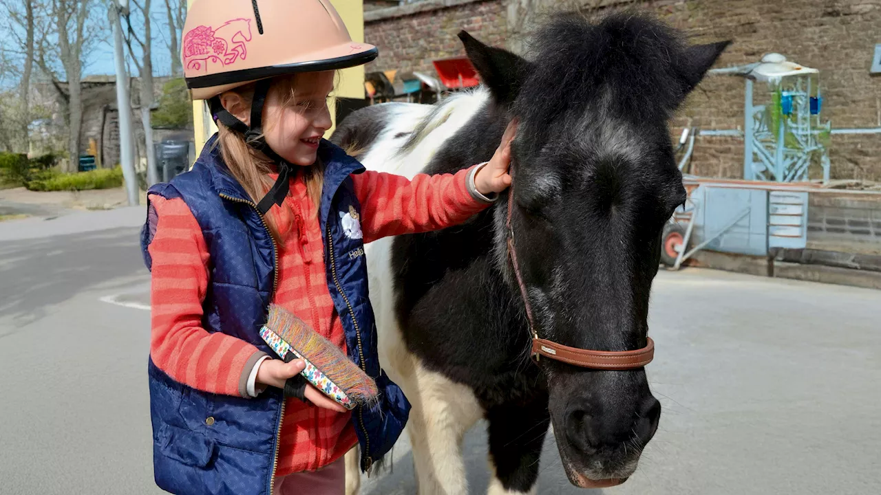 Schicksal belastet Familie - Schwester krank – Magdalena findet Trost bei Pony Daisy