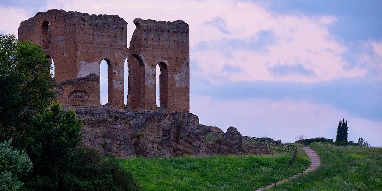 Gli Alieni Sono Qui: La Natura Supera la Fantasia