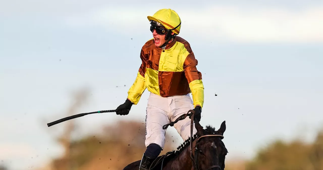 Galopin Des Champs Dominates Savills Chase at Leopardstown