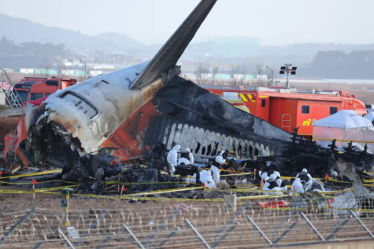 무안국제공항 제주항공 참사, 미국 조사팀 현장 조사 시작