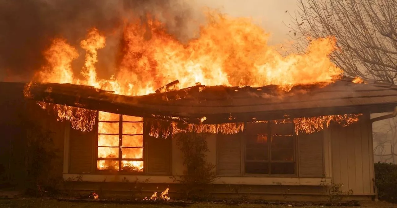 California Mandates Wildfire Insurance Coverage for High-Risk Areas