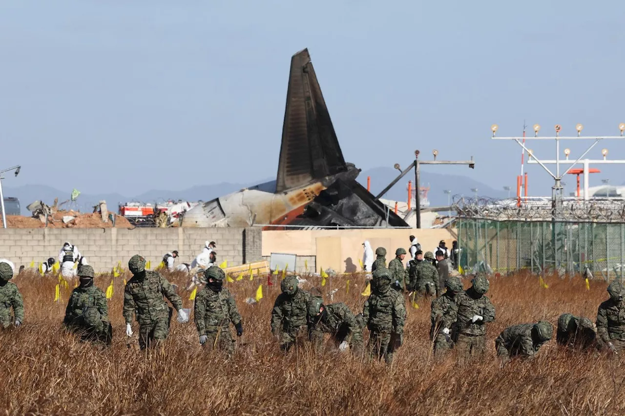 Crash d'avion en Corée du Sud : les premiers corps remis aux familles