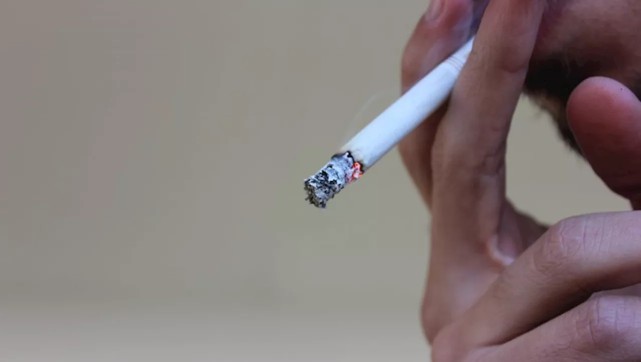 Chaque Cigarette Raccourcie la Vie de 20 Minutes, Selon Une Nouvelle Étude