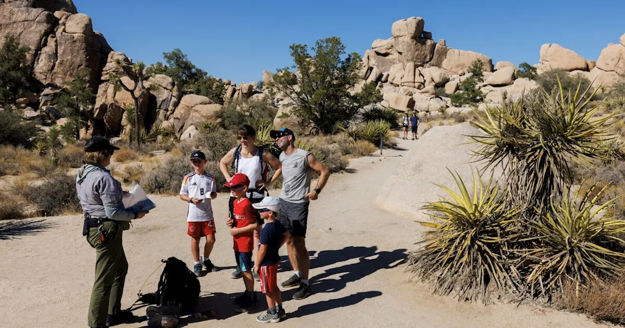 Be Prepared for Crowds at Joshua Tree National Park for New Year's