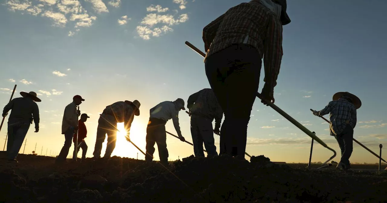 Imperial Valley: Neither Red Nor Blue, But Betrayed