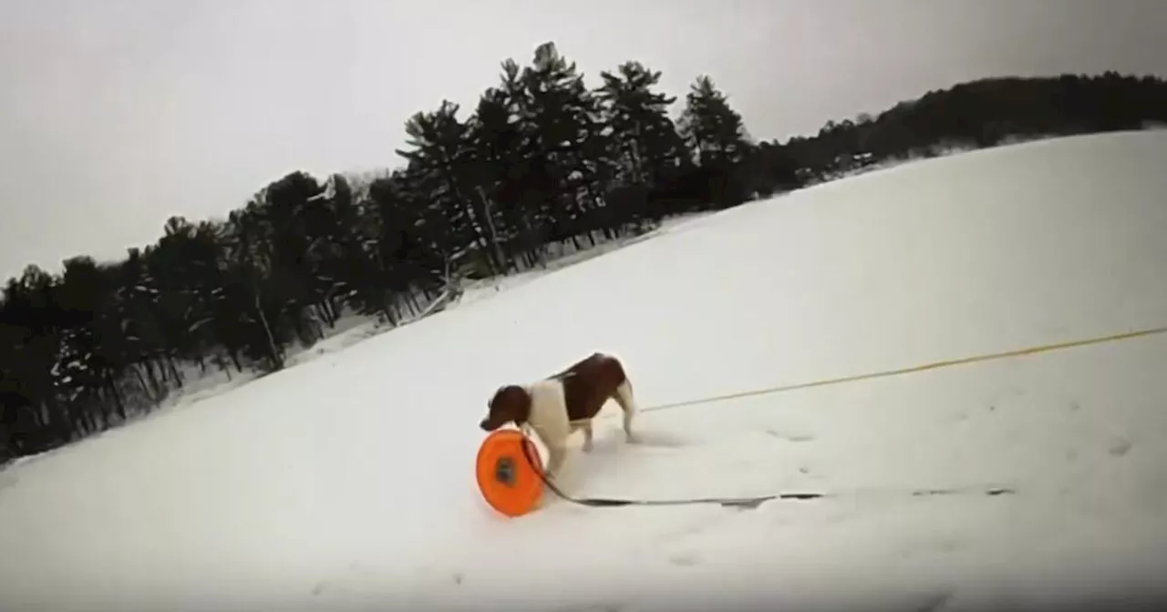 Police Officer Uses Dog to Rescue Man From Frozen Lake